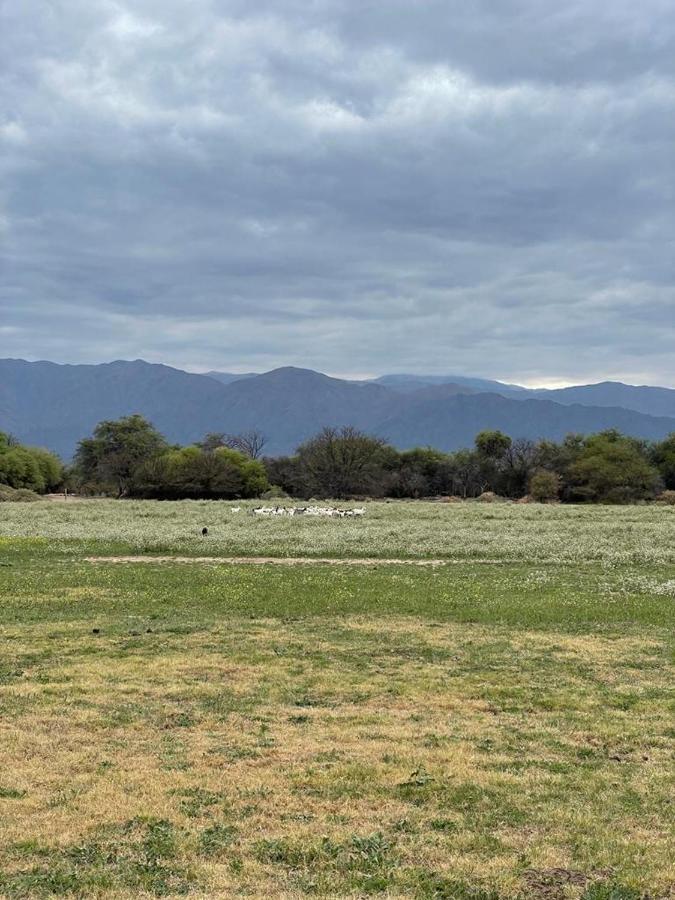 La Vaca Tranquila Hotel San Carlos  Bagian luar foto