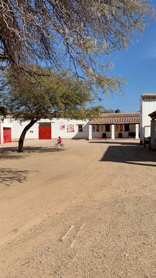 La Vaca Tranquila Hotel San Carlos  Bagian luar foto